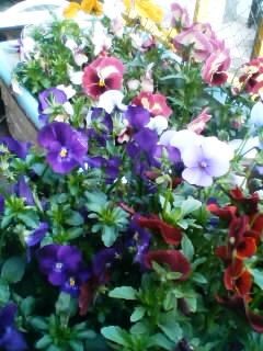f:id:aatyan:20100414161931j:image f:id:aatyan:20100414161931j:image