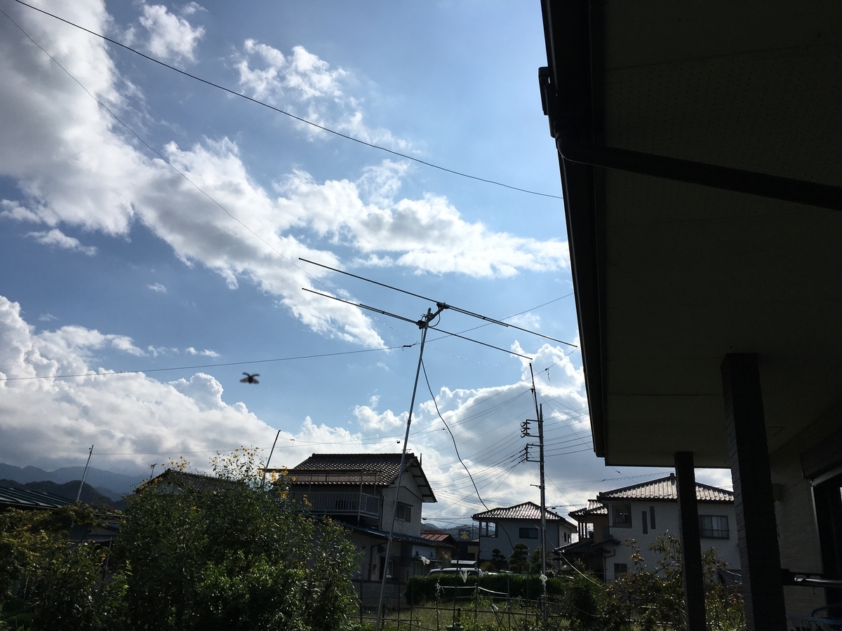 f:id:aavarenboww:20201004201511j:plain