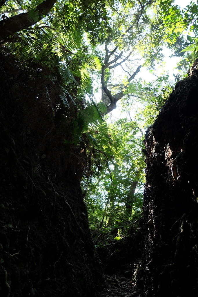 f:id:ab7ab7:20181010113755j:plain