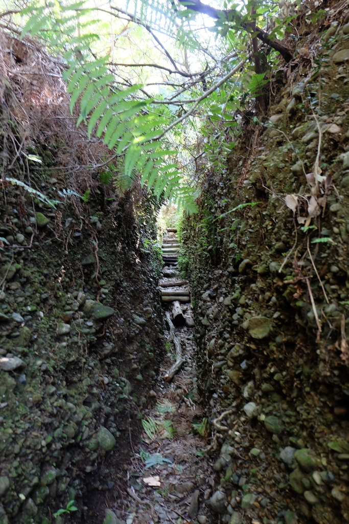 f:id:ab7ab7:20181010113840j:plain