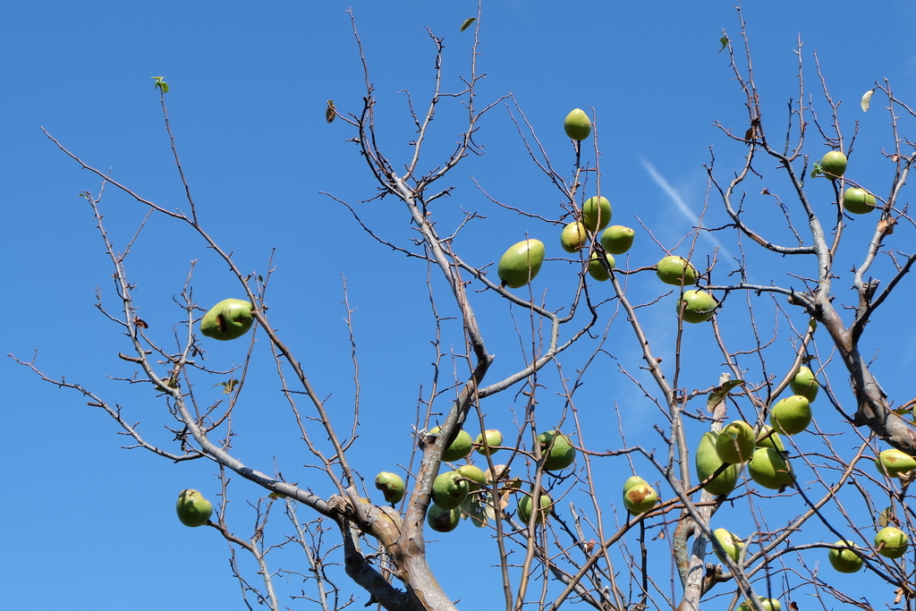 f:id:ab7ab7:20181010133848j:plain