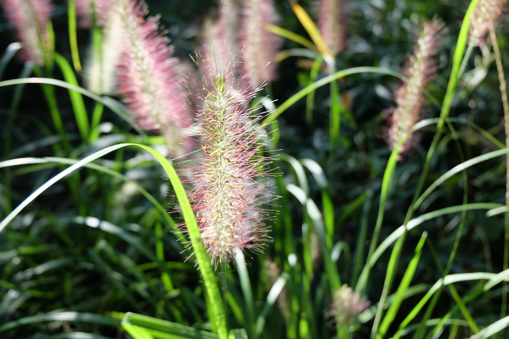 f:id:ab7ab7:20181010134400j:plain