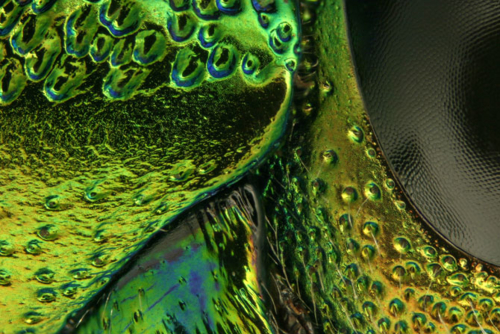 f:id:abalone:20040619190447j:image f:id:abalone:20040619190447j:image