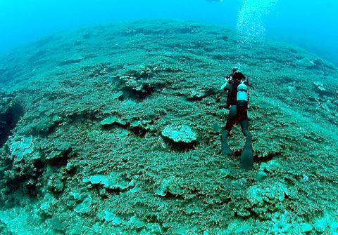 f:id:abalone:20100528100250j:image