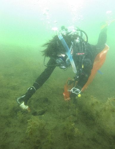 f:id:abalone:20100531055812j:image