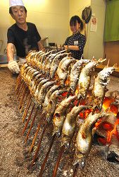 f:id:abalone:20100620151021j:image