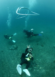 f:id:abalone:20100621070911j:image