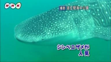 f:id:abalone:20100827101202j:image f:id:abalone:20100827101202j:image