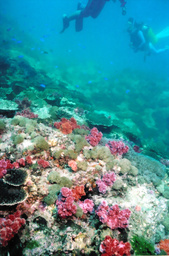 f:id:abalone:20101028103426j:image