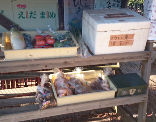 2軒目の無人販売所