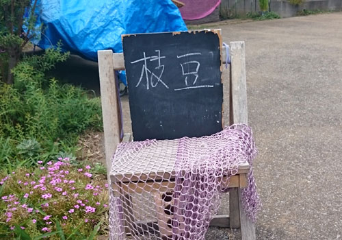 枝豆あります