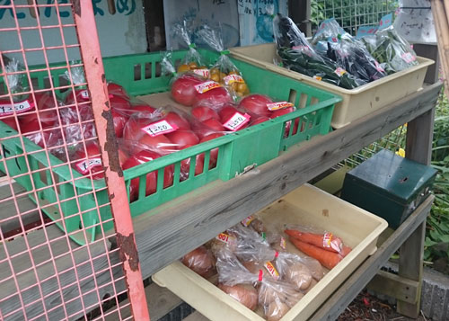 野菜の無人販売所