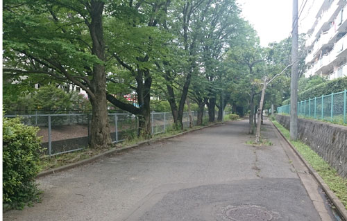 いつもの遊歩道
