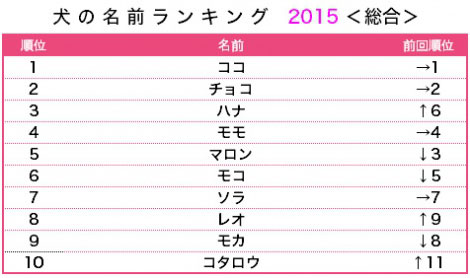 犬の名前ランキング