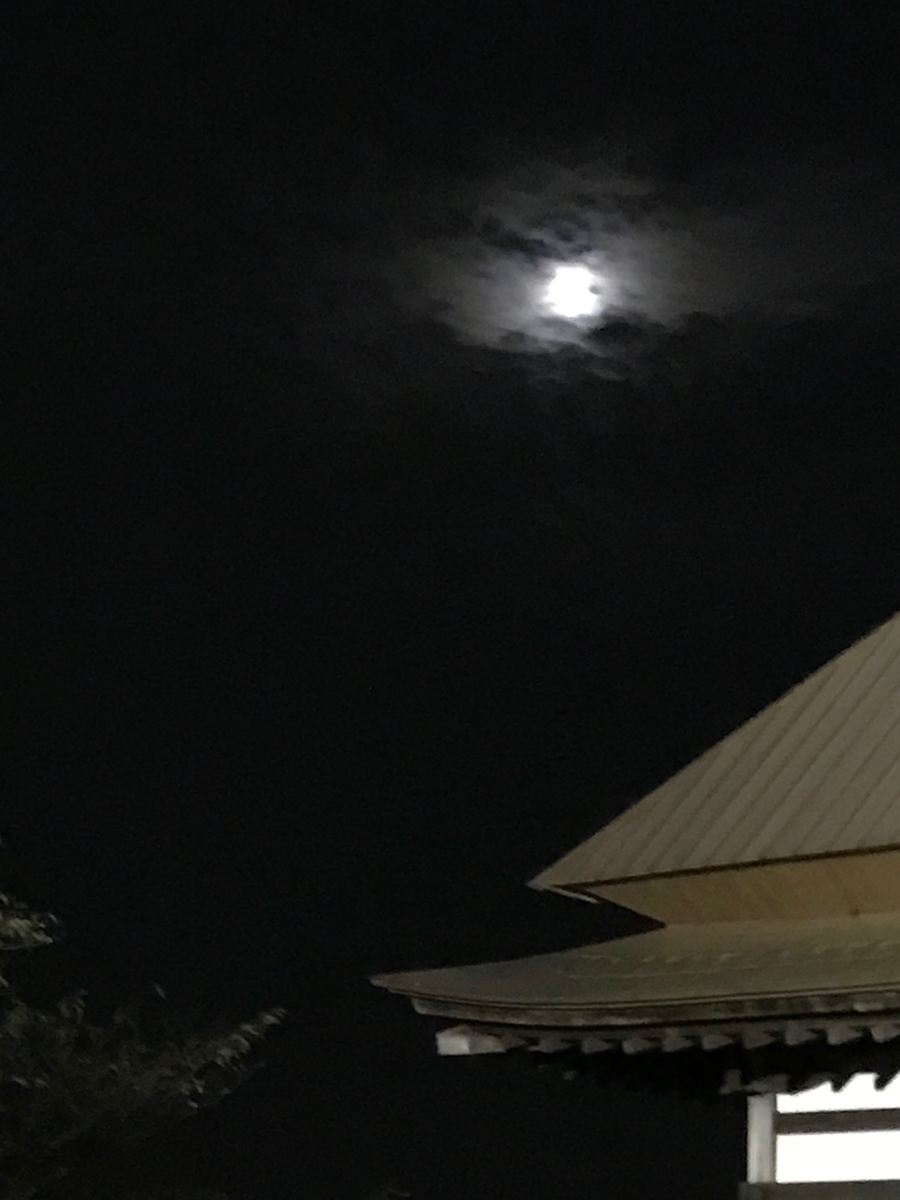 f:id:abbeyroad-kaz:20190727220459j:plain