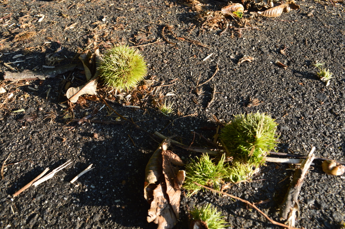 f:id:abbeyroad-kaz:20201017212250j:plain