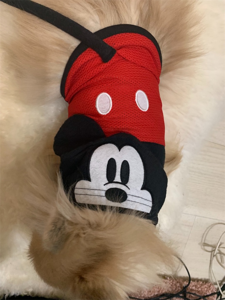 f:id:abc0410abc:20181228130123j:image f:id:abc0410abc:20181228130123j:image