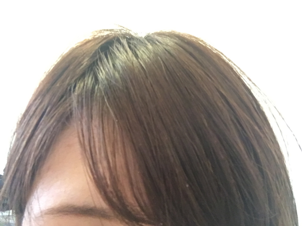 f:id:abc123kk:20170321044450j:plain