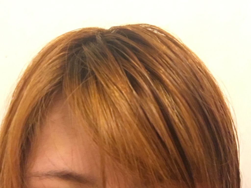 f:id:abc123kk:20170321083246j:plain