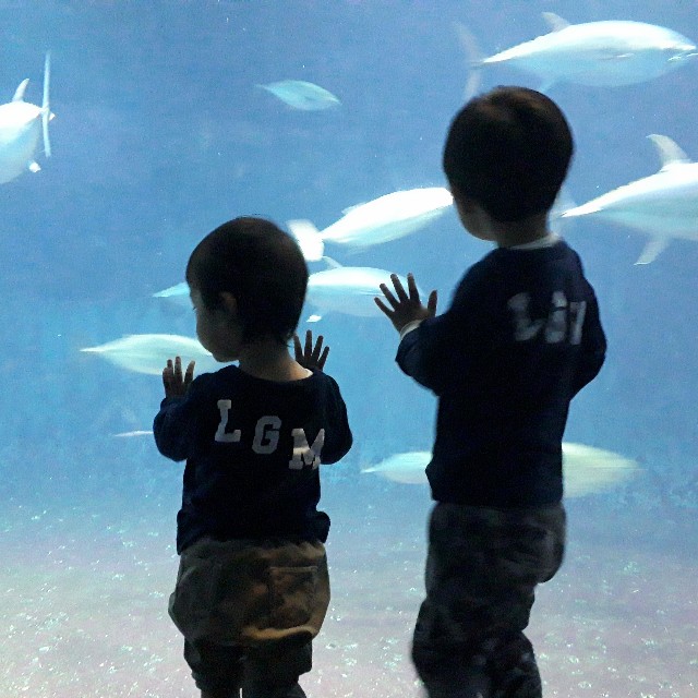 f:id:abcdehon:20180430054609j:image f:id:abcdehon:20180430054609j:image