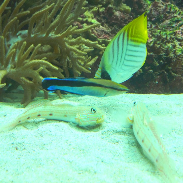 f:id:abcdehon:20180430054702j:image f:id:abcdehon:20180430054702j:image