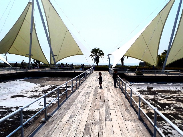 f:id:abcdehon:20180430055522j:image f:id:abcdehon:20180430055522j:image