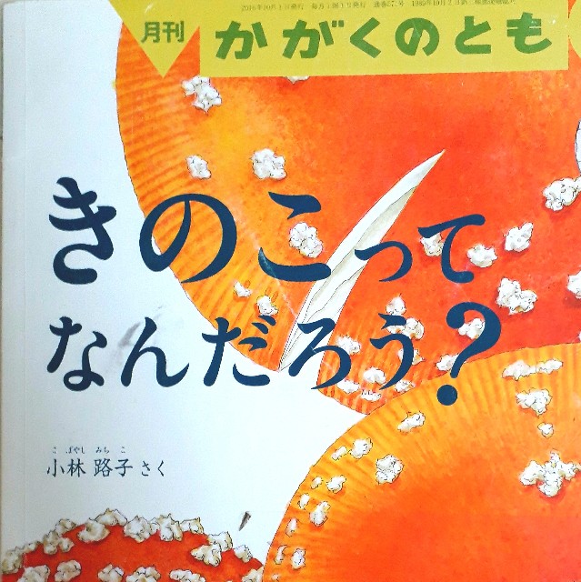f:id:abcdehon:20190106213847j:image