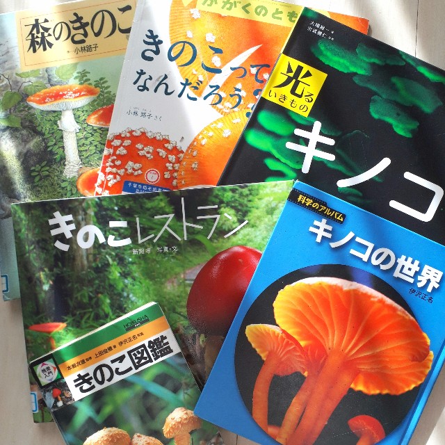 f:id:abcdehon:20190106220003j:image