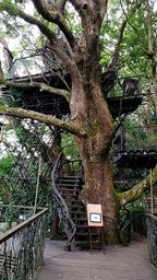 f:id:abcdehon:20200913171330j:plain f:id:abcdehon:20200913171330j:plain