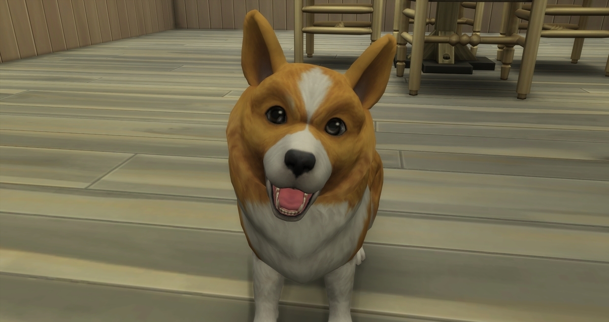 f:id:abcdmattya:20200215164524j:plain