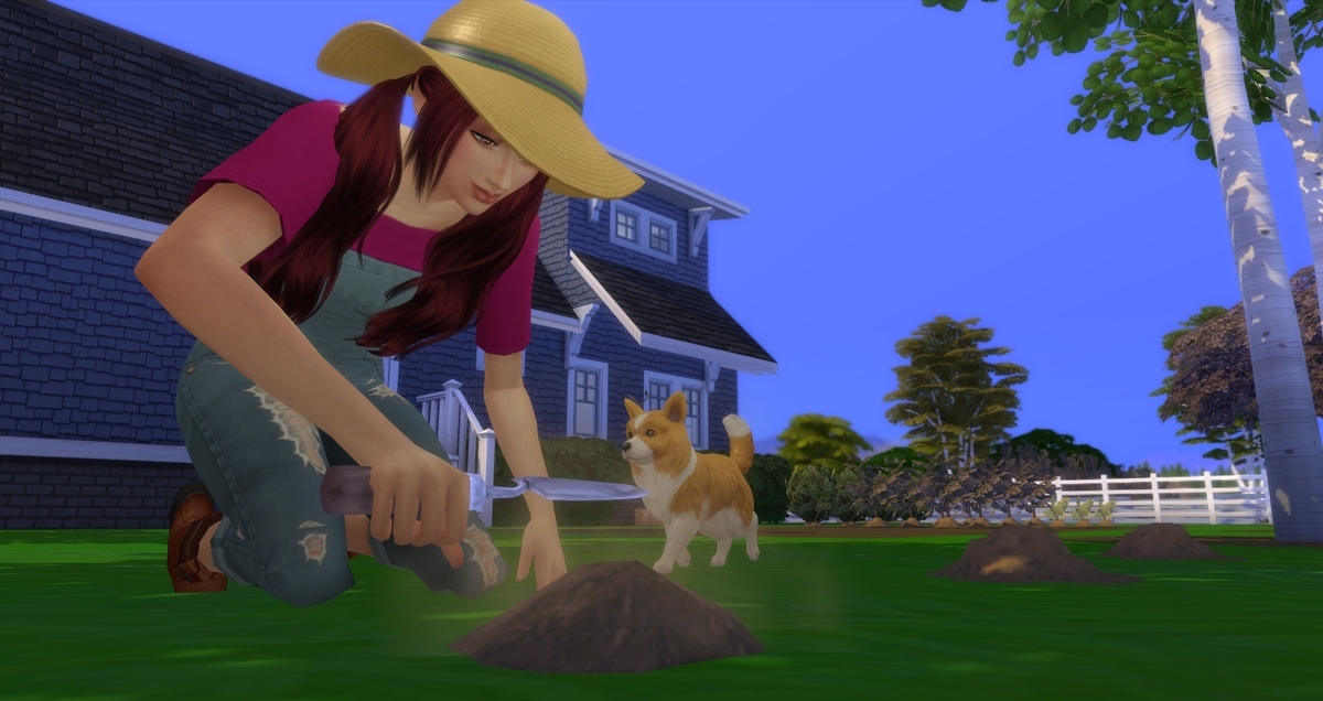 f:id:abcdmattya:20200215165338j:plain f:id:abcdmattya:20200215165338j:plain