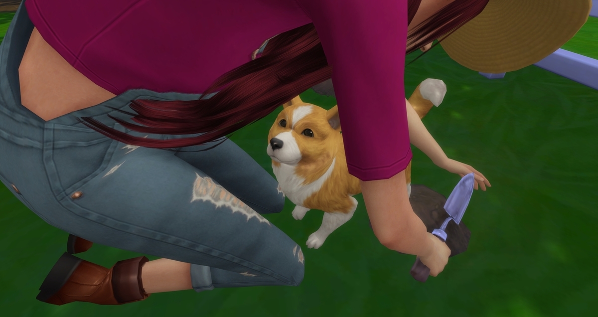 f:id:abcdmattya:20200215165439j:plain f:id:abcdmattya:20200215165439j:plain