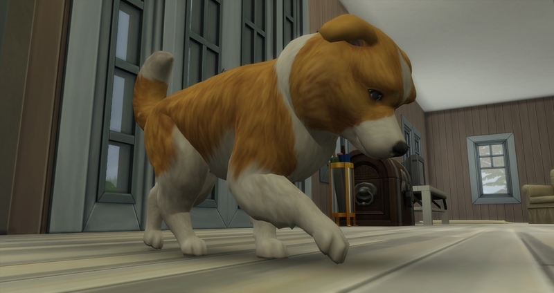 f:id:abcdmattya:20200218225102j:plain