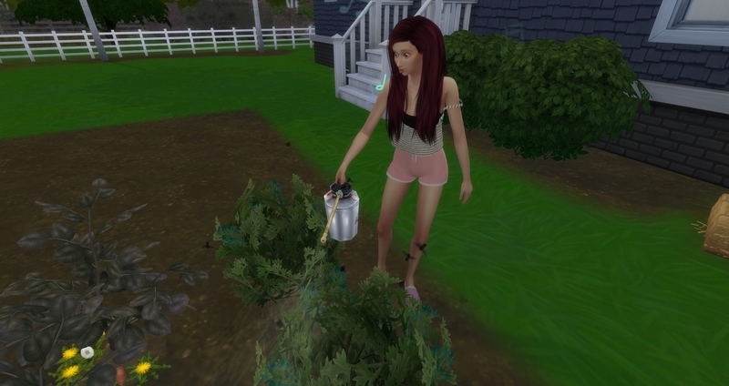 f:id:abcdmattya:20200218225118j:plain