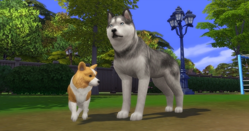 f:id:abcdmattya:20200218225234j:plain