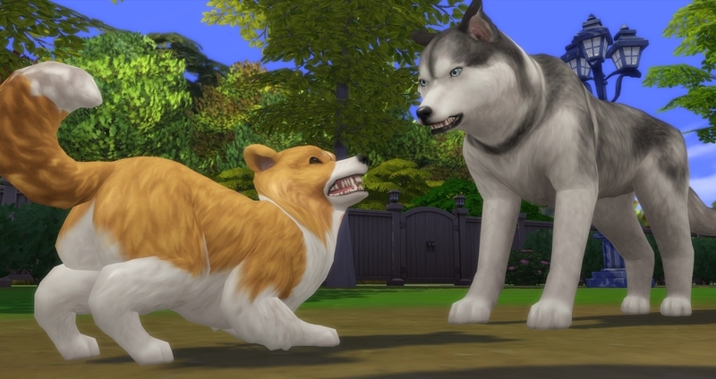 f:id:abcdmattya:20200218225246j:plain