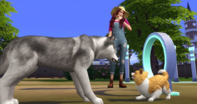 f:id:abcdmattya:20200218225251j:plain