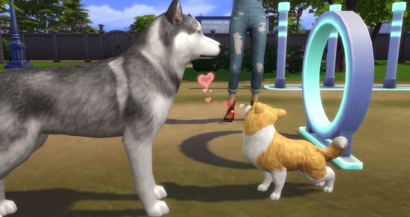 f:id:abcdmattya:20200218225258j:plain