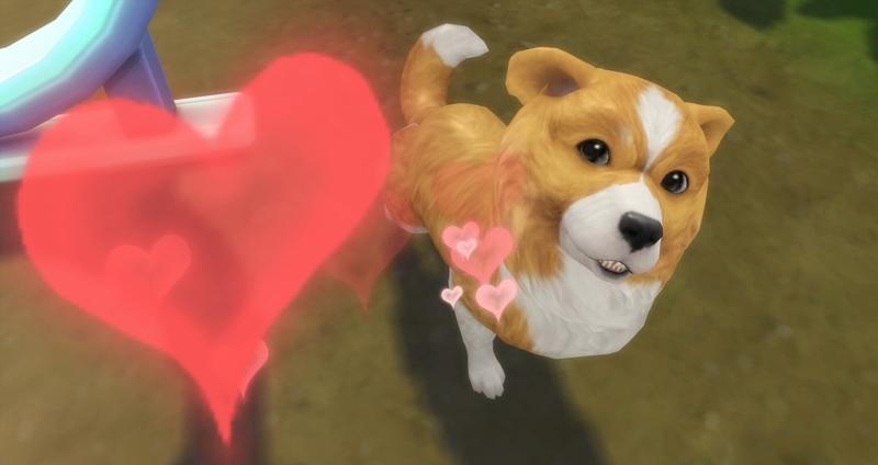 f:id:abcdmattya:20200218225303j:plain