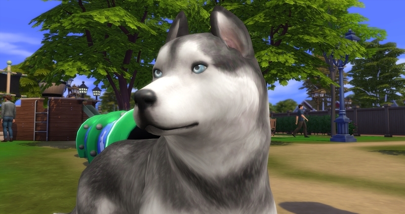 f:id:abcdmattya:20200218225308j:plain