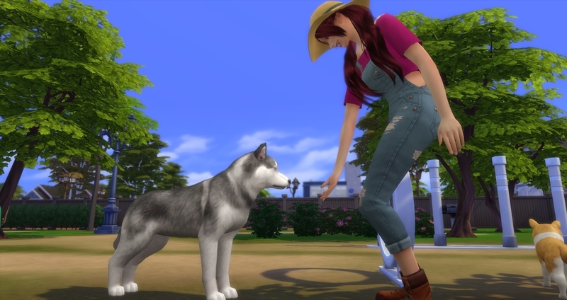 f:id:abcdmattya:20200218225312j:plain