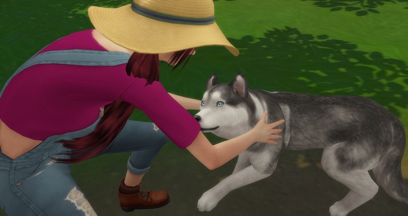 f:id:abcdmattya:20200218225318j:plain