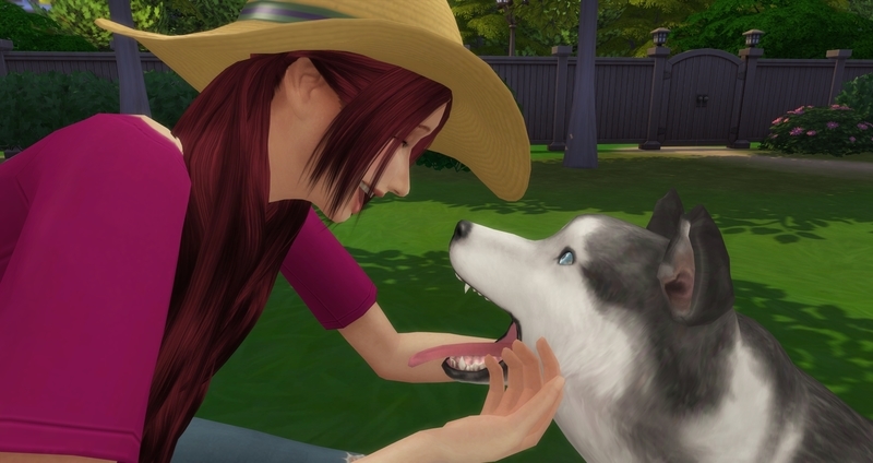 f:id:abcdmattya:20200218225324j:plain