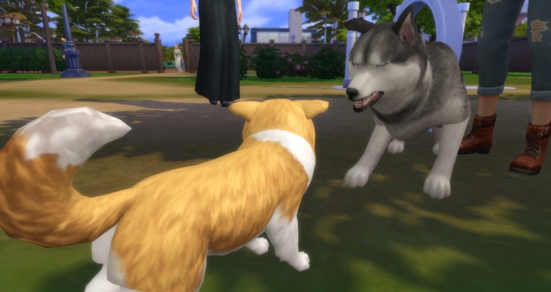 f:id:abcdmattya:20200218225339j:plain