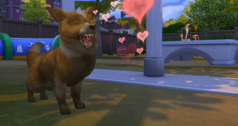 f:id:abcdmattya:20200218225459j:plain