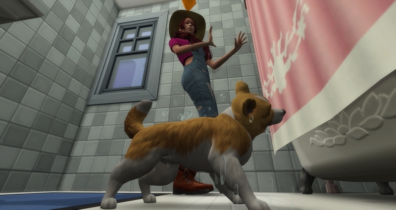 f:id:abcdmattya:20200218225515j:plain