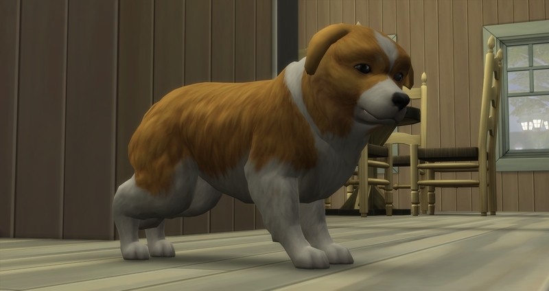 f:id:abcdmattya:20200218225521j:plain