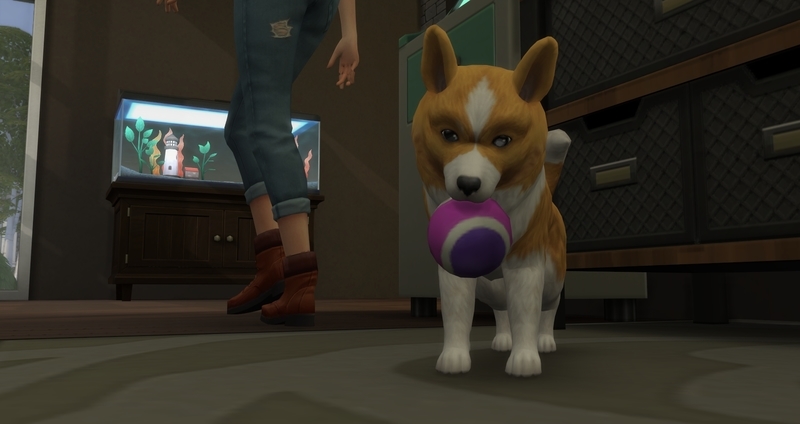 f:id:abcdmattya:20200218225549j:plain