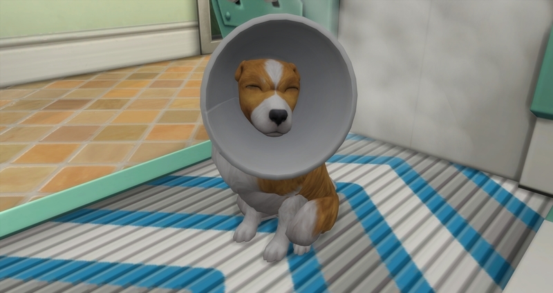 f:id:abcdmattya:20200218225622j:plain