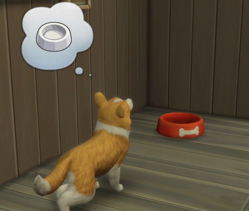 f:id:abcdmattya:20200218225707j:plain